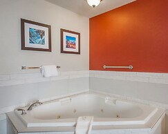 Comfort Inn & Suites University