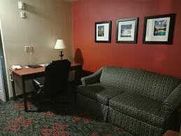 Comfort Inn & Suites University