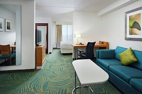 SpringHill Suites by Marriott Chicago Southwest at Burr Ridge/Hinsdale