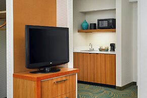 SpringHill Suites by Marriott Chicago Southwest at Burr Ridge/Hinsdale