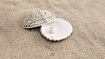 Holiday Resort Lombok