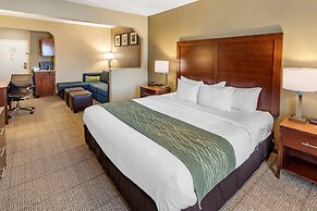 Comfort Inn & Suites Lincoln Talladega I-20