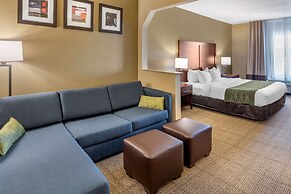 Comfort Inn & Suites Lincoln Talladega I-20