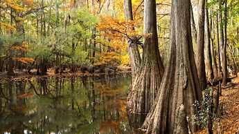 Hampton Inn Columbia-Downtown Historic District