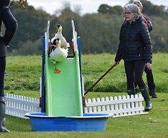 Lucknam Park Hotel & Spa