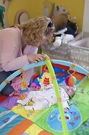 Lucknam Park Hotel & Spa