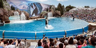 Pier South Resort, Autograph Collection by Marriott