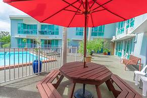 Aristotles North Shore