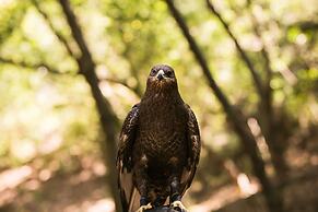 Alila Ventana Big Sur - Inclusive Resort