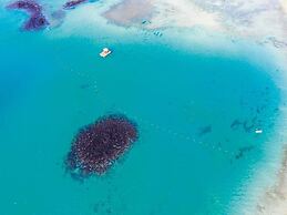 Constance Prince Maurice