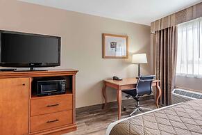 Best Western Rory & Ryan Inns