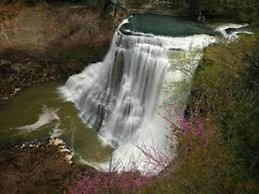 The Smokehouse Lodge and Cabins