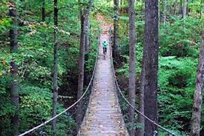 The Smokehouse Lodge and Cabins