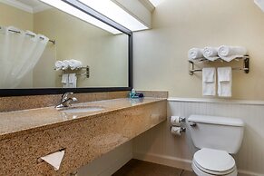 Best Western Dinosaur Valley Inn & Suites