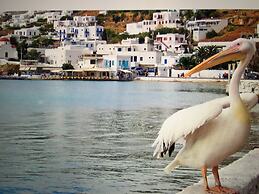 Dionysos Luxury Hotel Mykonos