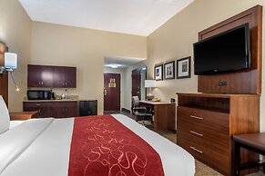 Comfort Suites Woodstock - Atlanta North