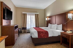 Comfort Suites Woodstock - Atlanta North