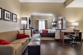 Comfort Suites Woodstock - Atlanta North