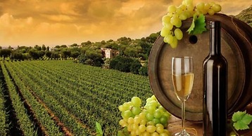 Paihia Pacific Resort Hotel