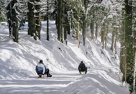 Arabella Alpenhotel am Spitzingsee, a Tribute Portfolio Hotel