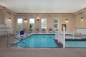 Spark by Hilton Ames