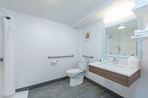 Hampton Inn Tampa-Veterans Expwy (Airport North)