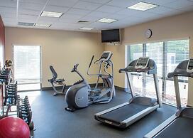 Hampton Inn Tampa-Veterans Expwy (Airport North)