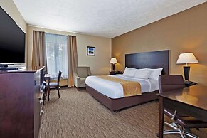 Comfort Inn Whitehall near Michigan's Adventure