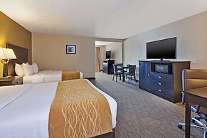 Comfort Inn Whitehall near Michigan's Adventure