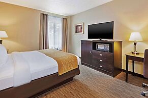 Comfort Inn Whitehall near Michigan's Adventure