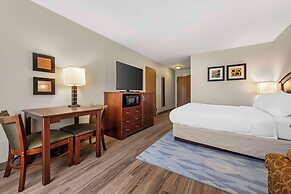 Comfort Inn Albert Lea