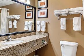 Comfort Inn Albert Lea