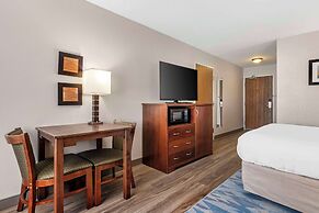 Comfort Inn Albert Lea
