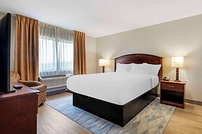 Comfort Inn Albert Lea