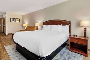 Comfort Inn Albert Lea