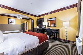 Comfort Suites Lake Jackson Clute