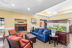 Comfort Suites Lake Jackson Clute