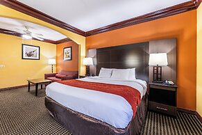 Comfort Suites Lake Jackson Clute