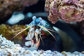 Baltimore Marriott Waterfront