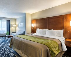 Quality Inn & Suites Ashland near Kings Dominion