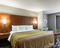 Quality Inn & Suites Ashland near Kings Dominion