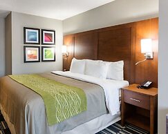 Quality Inn & Suites Ashland near Kings Dominion