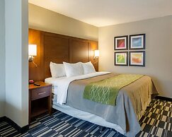 Quality Inn & Suites Ashland near Kings Dominion