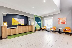 Spark by Hilton La Grange