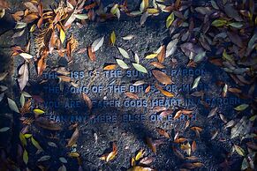 Chateau Yering Hotel