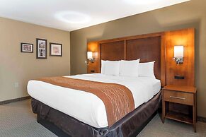 Comfort Inn North/Polaris