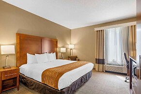 Comfort Inn North/Polaris