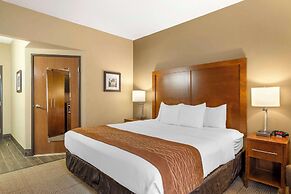 Comfort Inn North/Polaris