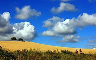 Hipotels Hotel Flamenco Conil