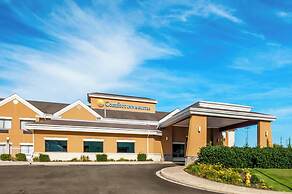 Comfort Inn and Suites